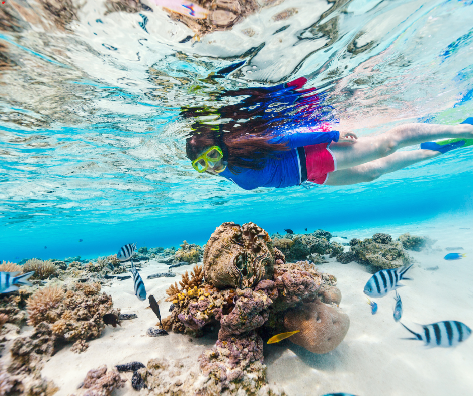 Bonaire’s kustbeleving